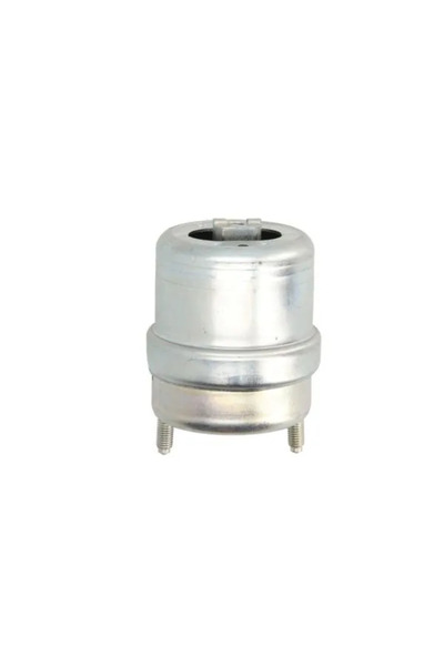 REINHOCH Suport Motor Dreapta Vw Transporter T4 Bus/Transporter T4 Caroserie/...