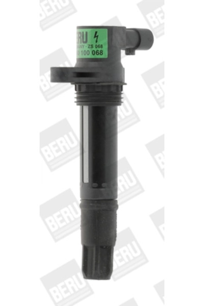 BorgWarner (Wahler) Bobina De Inductie Land Rover Freelander 1 Mg Mg Zs/Mg Zt