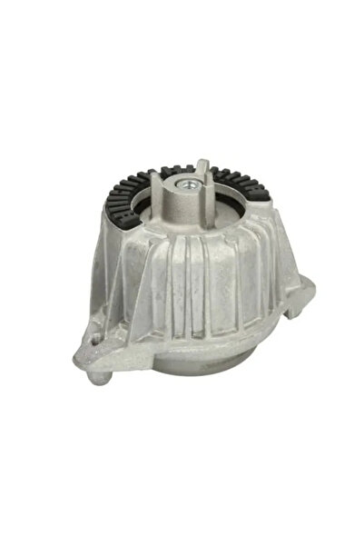 REINHOCH Suport Motor Fata Stanga Mercedes-Benz C-Class/Cls/E-Class