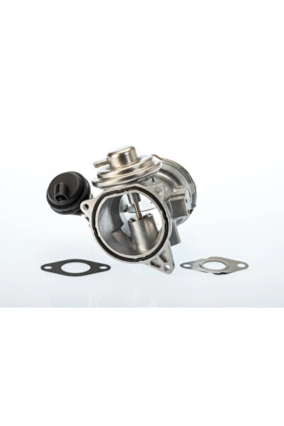 BorgWarner (Wahler) Supapa Egr Vw Multivan T5/Transporter T5 Bus/Transporter ...