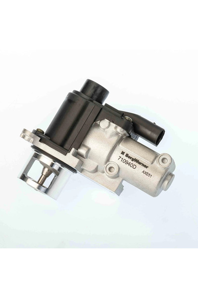 BorgWarner (Wahler) Supapa Egr Vw Beetle/Golf 6/Jetta 3