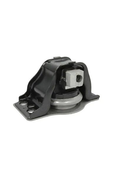 REINHOCH Suport Motor Dreapta Renault Megane 1/Megane 2/Scenic 2 2002-2011