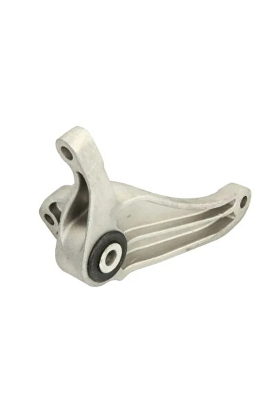 REINHOCH Suport Motor Spate Ford C-Max/Focus 2/Focus 3 Volvo S40 2/V50