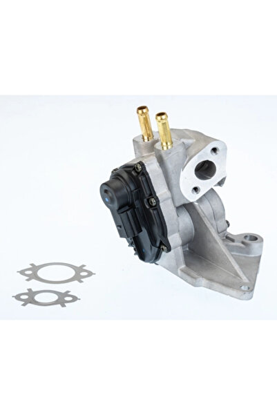 BorgWarner (Wahler) Supapa Egr Audi A3 Seat Altea/Leon/Toledo 3 2003-2010