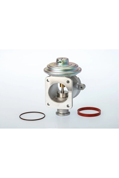 BorgWarner (Wahler) Supapa Egr Bmw 1/3/5