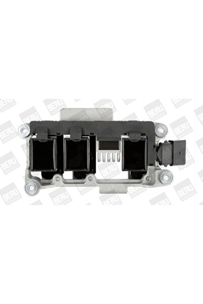 BorgWarner (Wahler) Bobina De Inductie Audi A4 B5/A4 B6/A6 C4 Skoda Superb 1