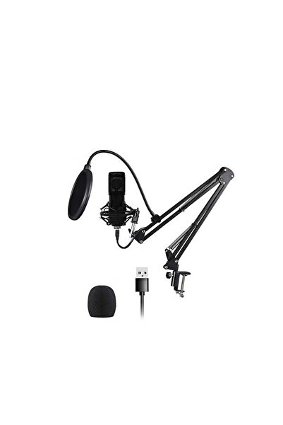 Arabest USB Condenser Microphone Computer Mic Kit Professional Studio Recordi...