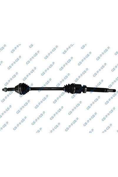 RINGER Planetara Ford Transit Tourneo Bus/Transit Bus/Transit Caroserie