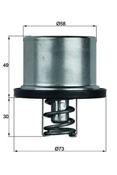 MAHLE Termostat Lichid Racire Bmw 5/Z8 Roadster