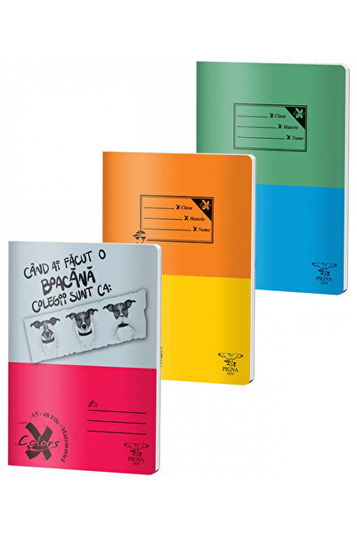 PIGNA Caiet A4 48 file Dictando Coperta Basic