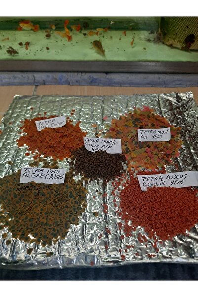 derlifbeysu yld Akvaryum Balık Yemi Karışık LEPİSTES YEMİ 25 gr Atom Yem