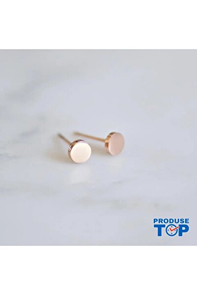 Produse.Top Fashion Earrings Made of Stainless Steel Plated with 14K Rose Gol...