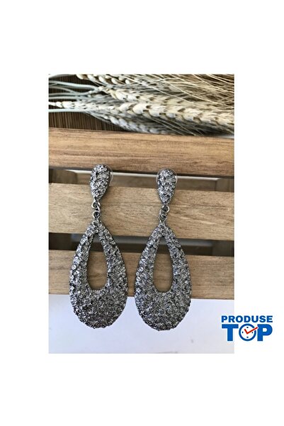 Produse.Top Elegant Dark Gray Drop Earrings CW90