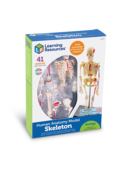 Learning Resources Macheta corpul uman - Schelet