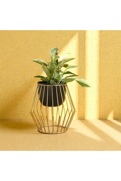 Generic Gold & Black Metal Planter Stand with Pot Included 18 Inch