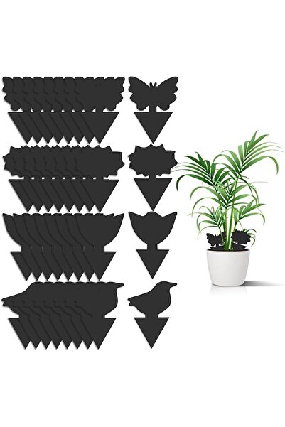 Arabest عبوة من 36 مصيدة لذباب الفطر، تُستخدم للتخلص من الذبابة البيضاء والبع...