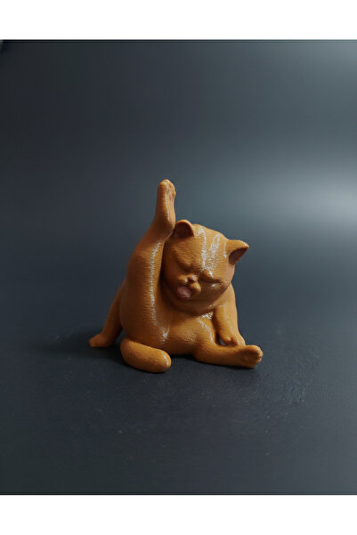 LUBIKO STUDIO Dekoratif Komik Kedi Biblosu - Temizlik Yapan Espirili Kedi Fig...