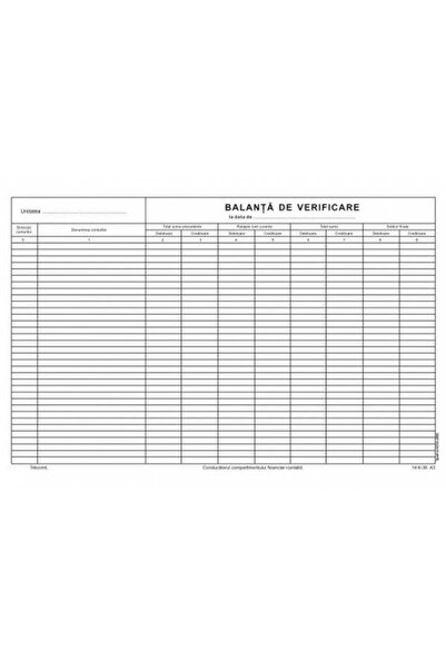 DanyCris Balanta de verificare A3 ( Dany Cris )