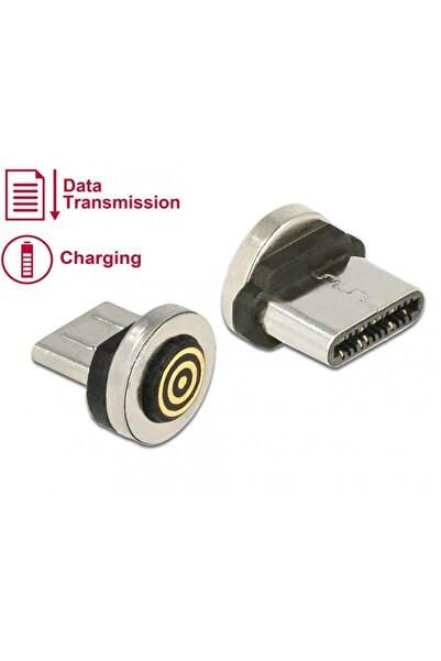 DELOCK Magnetic Adapter for Charging + Data Transfer USB-C for 85723/85724, 6...