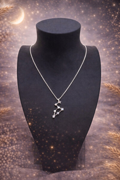 Gözde Sayarı Store Gözde Sayarı'nın Kişiye Özel Aslan Burcu Gümüş Kolye