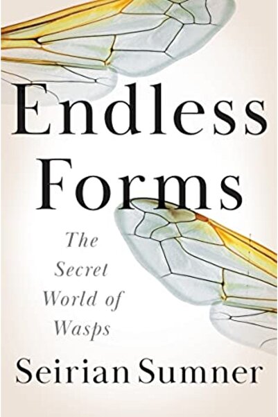 Book Boss Endless Forms: The Secret World Of Wasps