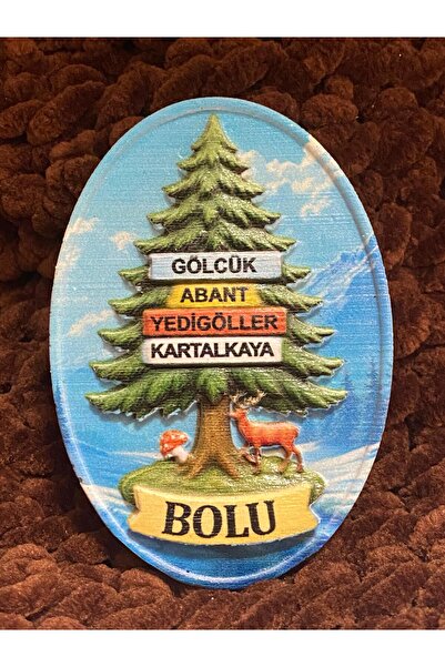 GIFTPALACE BOLU MAGNETİ (En Güzel Rotalar)