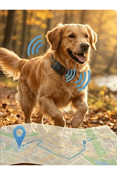 Gözcü Mobil Kedi Köpek Takip Cihazı Android IOS Uyumlu Pet Evcil Hayvan Tasma...
