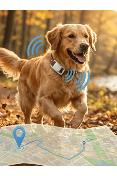 Gözcü Mobil Kedi Köpek Takip Cihazı Android IOS Uyumlu Pet Evcil Hayvan Tasma...