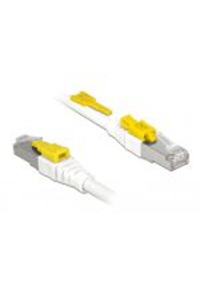 DELOCK Cablu de patch RJ 45 CAT 6 A SFTP Securizat 1 metru