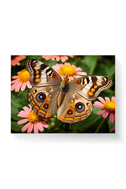 Printees Painting - Buckeye Butterfly - Canvas on frame
