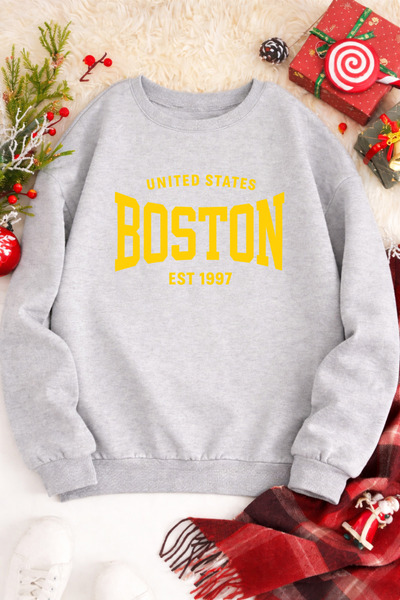 Pink Sky Unisex supradimensionat Bumbac cu imprimeu Swea tricou BOSTON