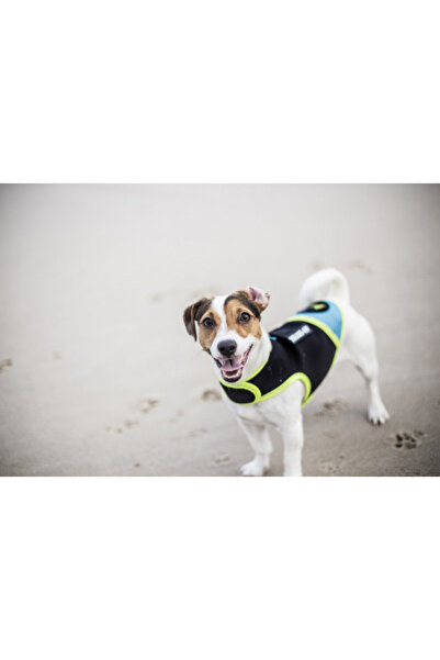 Julius K9 Vestă din neopren Julius K 9 - Aquamarin