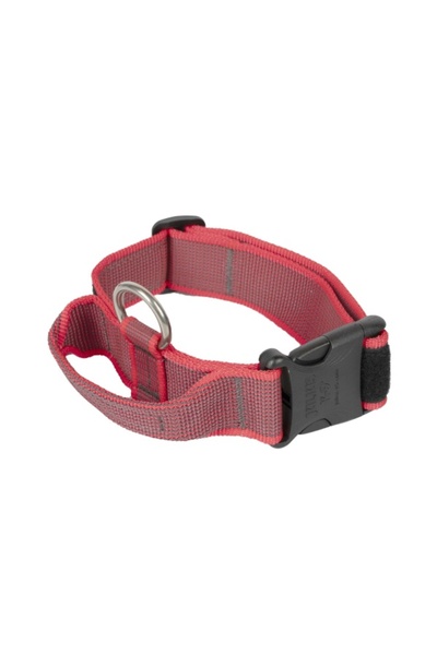 Julius K9 JK 9 Culoare & Zgarda Gri - 50 mm - Roșu