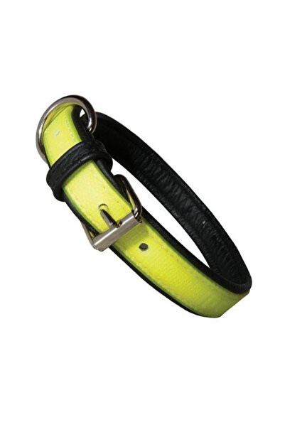 Julius K9 K 9 IDC Lumino Collar - fluorescent - 45 cm