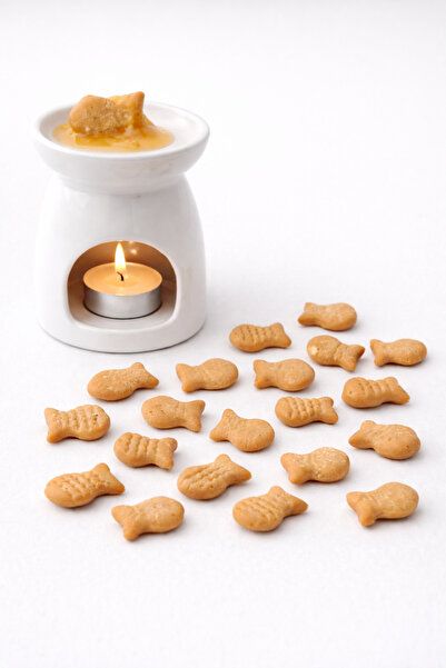 YAMYBEECANDLES 20’Li Kahve Esanslı Balık Kraker Buhurdanlık Mumu
