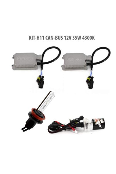 CarGuard H11 CAN-BUS 12V 35W 4300K