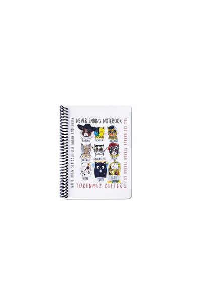 Funny Mat PLANȘĂ REUTILIZABILĂ 13x16 cm + CADOU SET INSTRUMENTE DE COLORAT