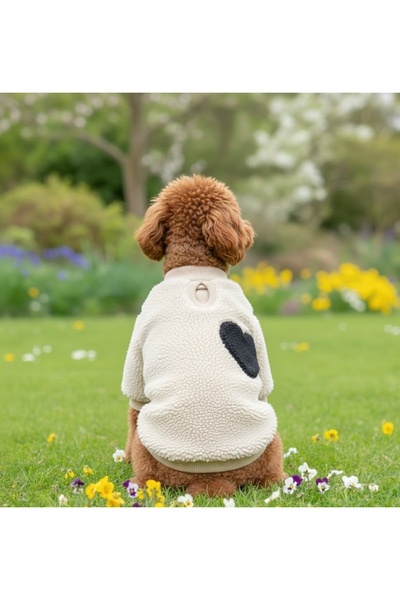 Lokums معطف كلب مصنوع يدويًا من قماش ويلسوفت - ملابس للكلاب - معطف شتوي - للس...