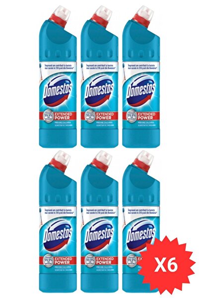 Domestos Domestos, дезинфектант Atlantic 750 мл, x6