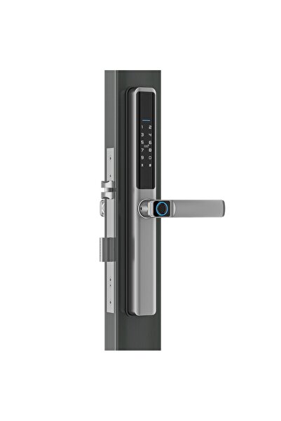Mentor Yală Smart WiFi Ușa PVC sau Termopan SY139S 5in1 Silver