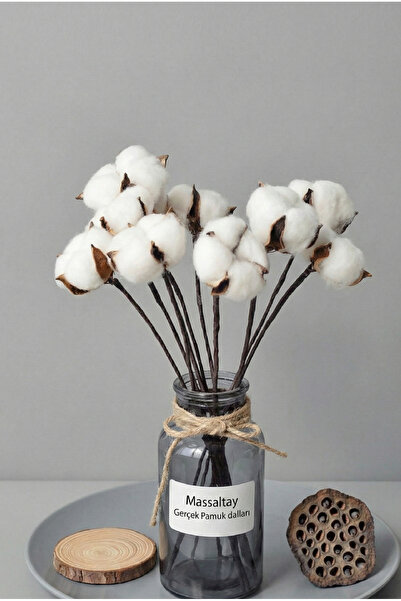 Massaltay فرع قطن طبيعي أبيض 6 قطع |   الزهور الجافة الزخرفية، الترتيب والتزيين