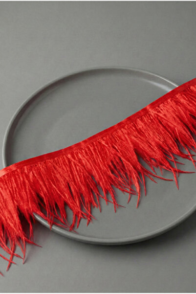 Massaltay شريط ريش نعام أسود 1 متر |   إكسسوارات فساتين السهرة، الحناء، الأزي...