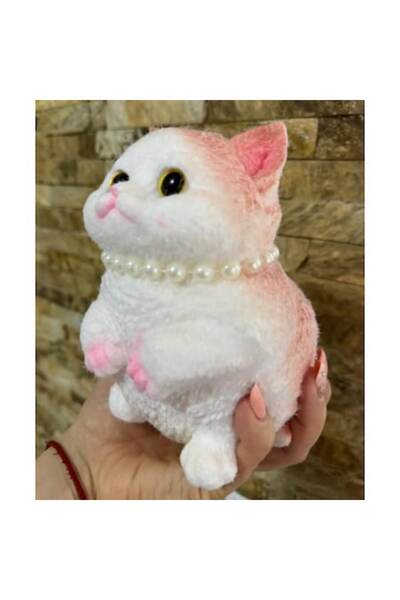 dongbest Мека котка