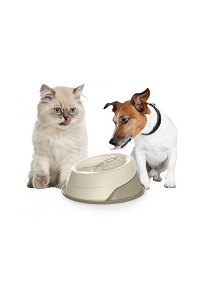 Record Bol de apă antiderapant cu funcție automată - Tip fântână