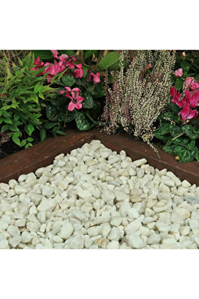 rrm tedarik Beyaz Dolomit Taş 10 Kg 1-2 Cm Dere Çakıl Taşı Saksı Taşı Akvaryu...