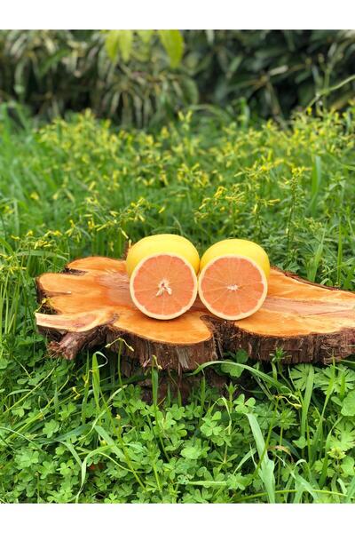 ARI ORGANIC Greyfurt 7 Kg