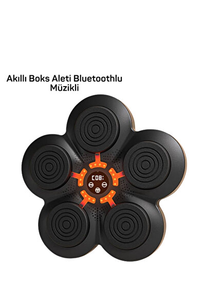 Lisinya MÜZİK BOX MAKİNESİ -