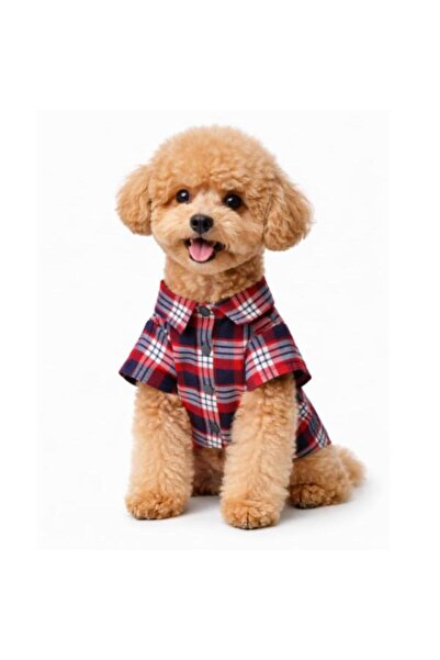 GedyCo KIRMIZI EKOSE - KIŞLIK GÖMLEK