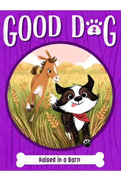 Book Boss نشأ في حظيرة