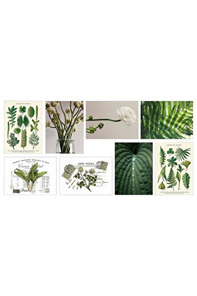 IKEA VÄXBO Art card, nature shapes, 13 x 18 cm